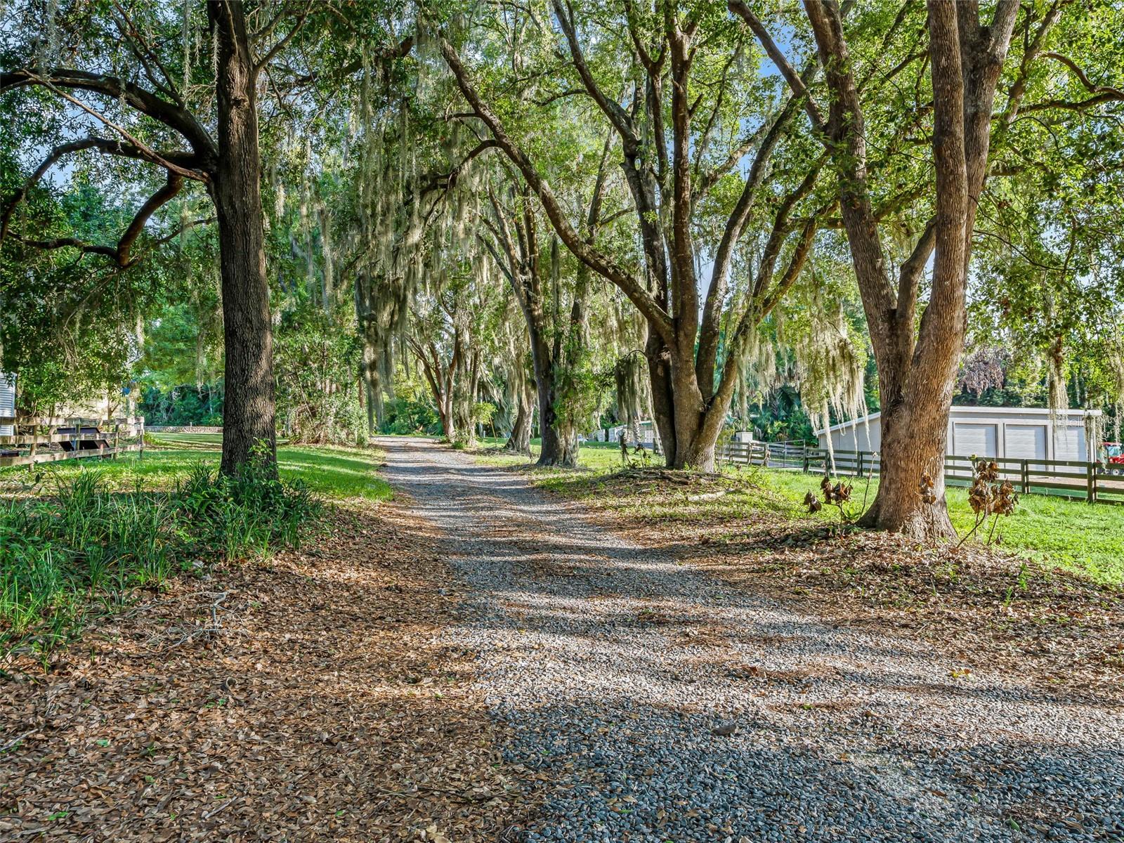 13061 SE 158TH LN, WEIRSDALE, FL — photo 83