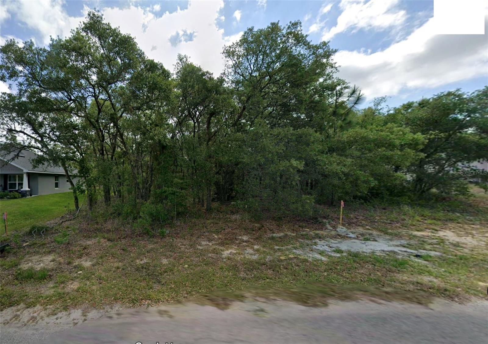 14 NEMESIA CT E, HOMOSASSA, FL