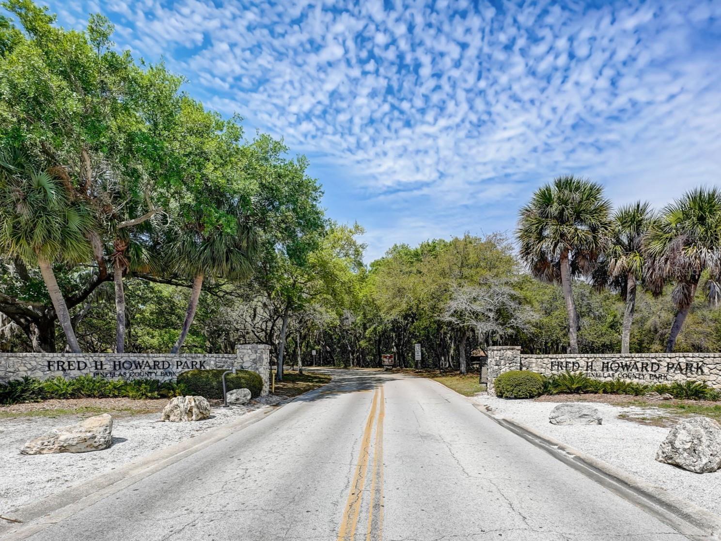 447 WHISPERING LAKES BLVD, TARPON SPRINGS, FL — photo 68
