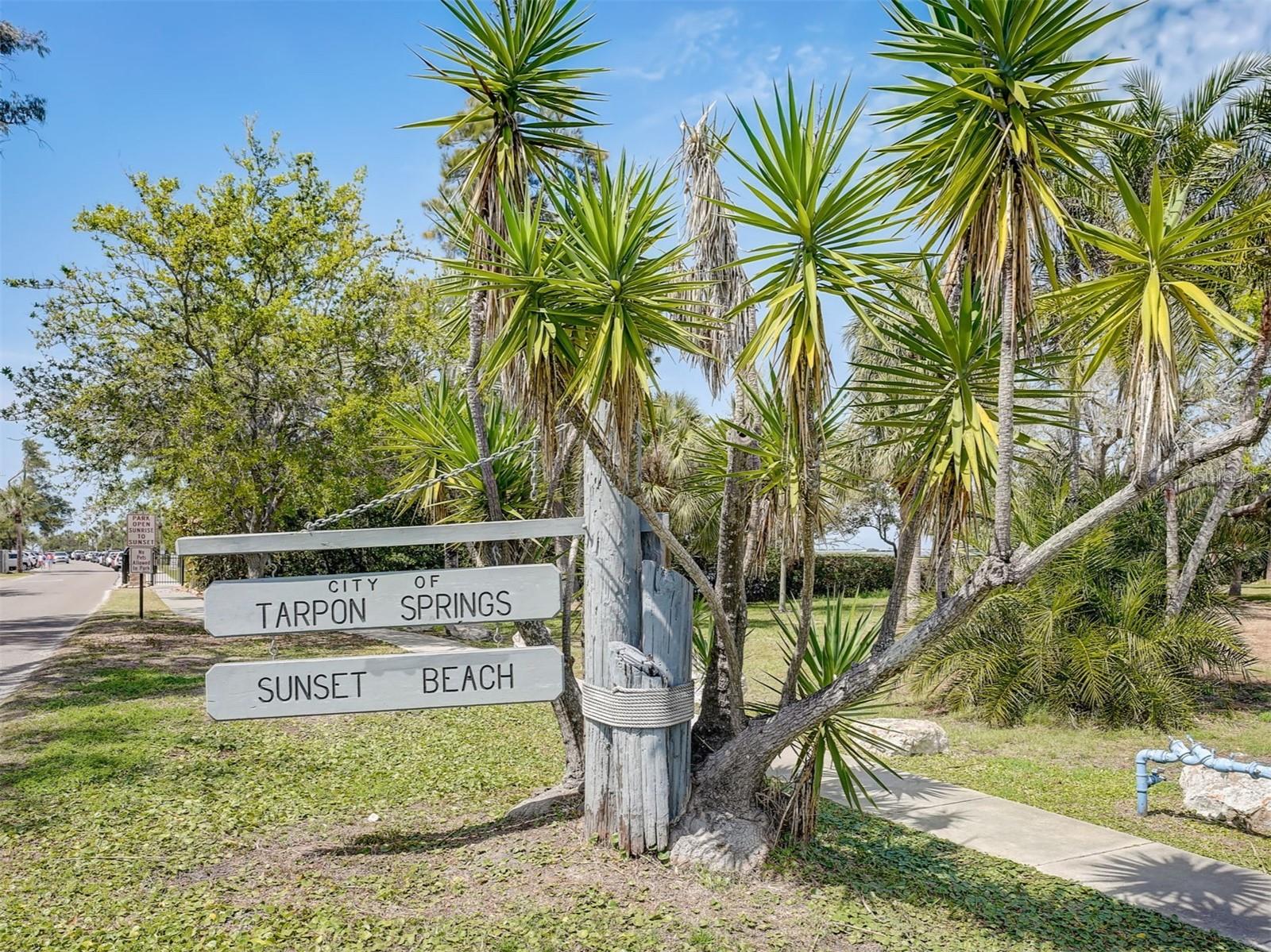 447 WHISPERING LAKES BLVD, TARPON SPRINGS, FL — photo 79