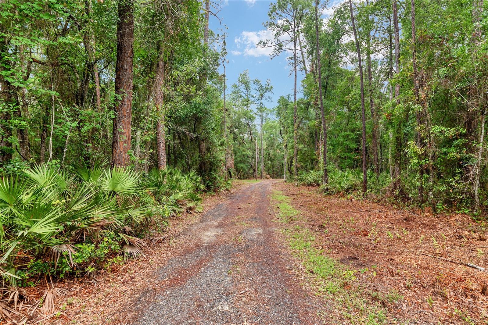 7622 SE COUNTY ROAD 234, GAINESVILLE, FL — photo 3