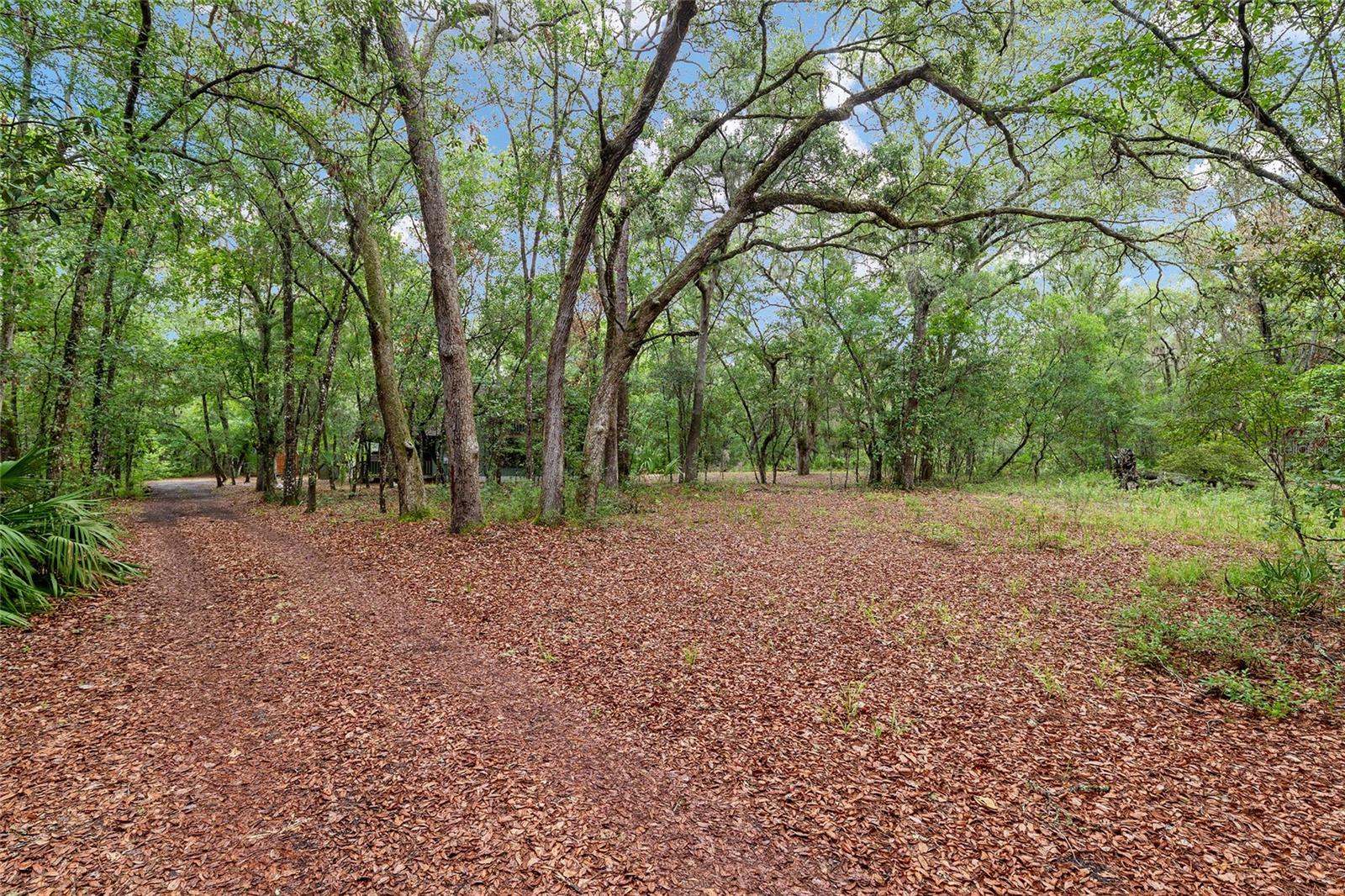7622 SE COUNTY ROAD 234, GAINESVILLE, FL — photo 51