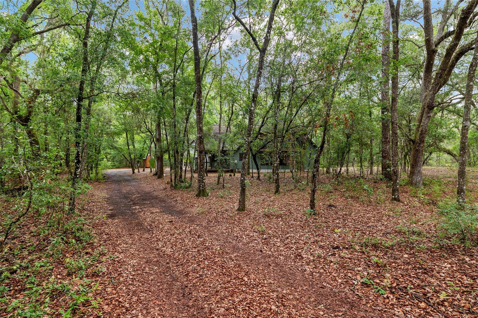 7622 SE COUNTY ROAD 234, GAINESVILLE, FL — photo 56