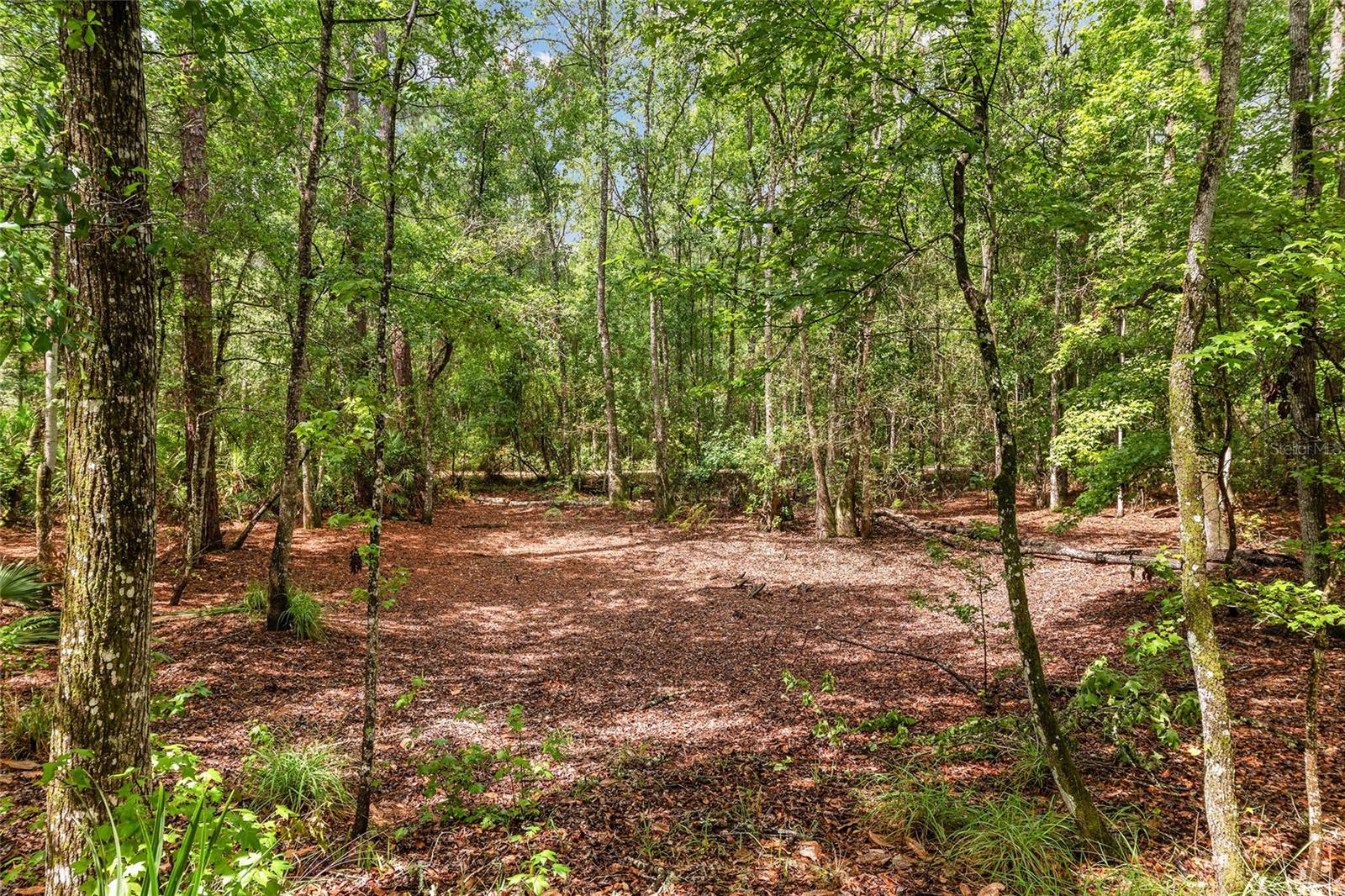 7622 SE COUNTY ROAD 234, GAINESVILLE, FL — photo 57