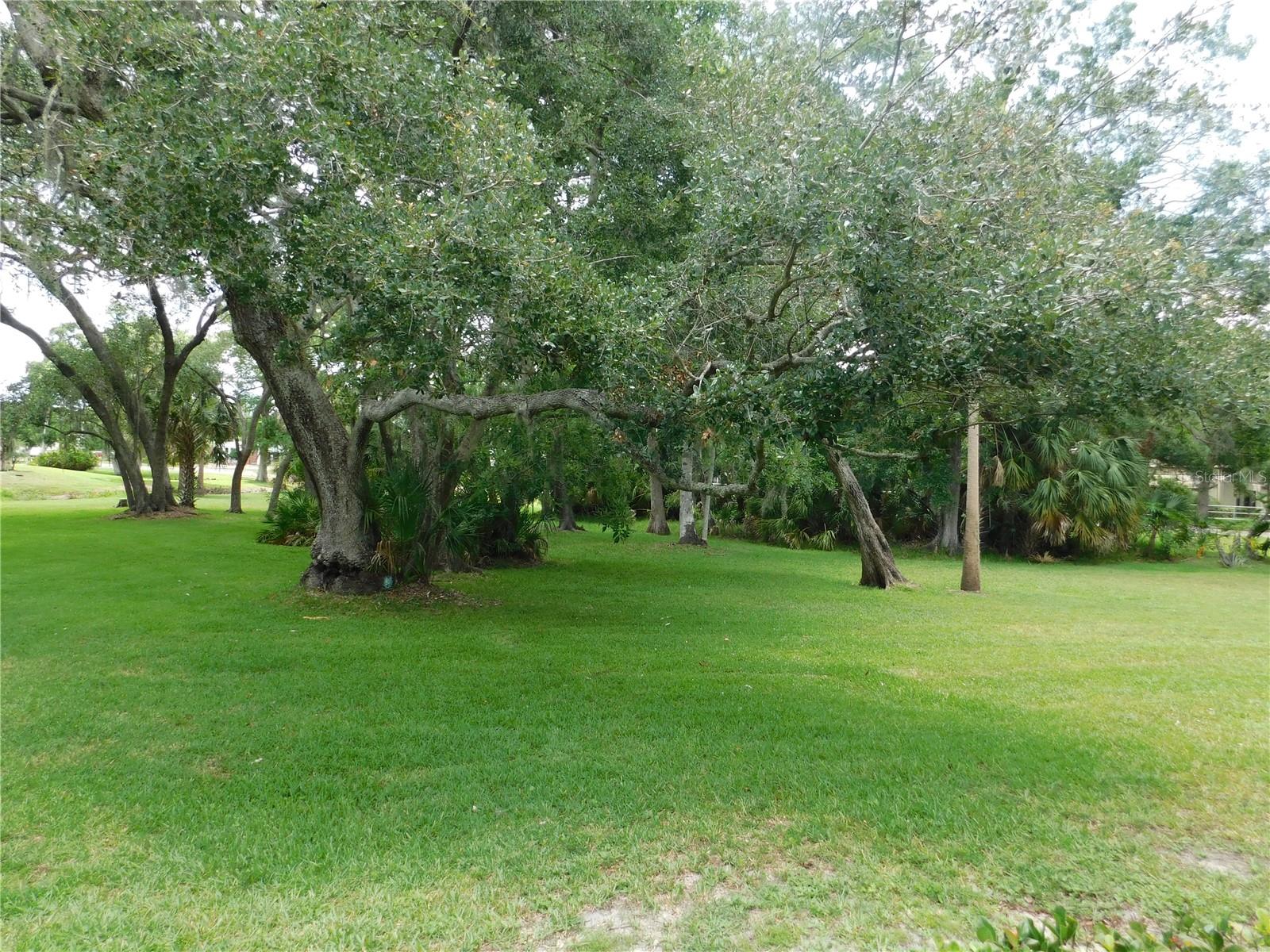 1400 TARPON WOODS BLVD #1-4, PALM HARBOR, FL — photo 4