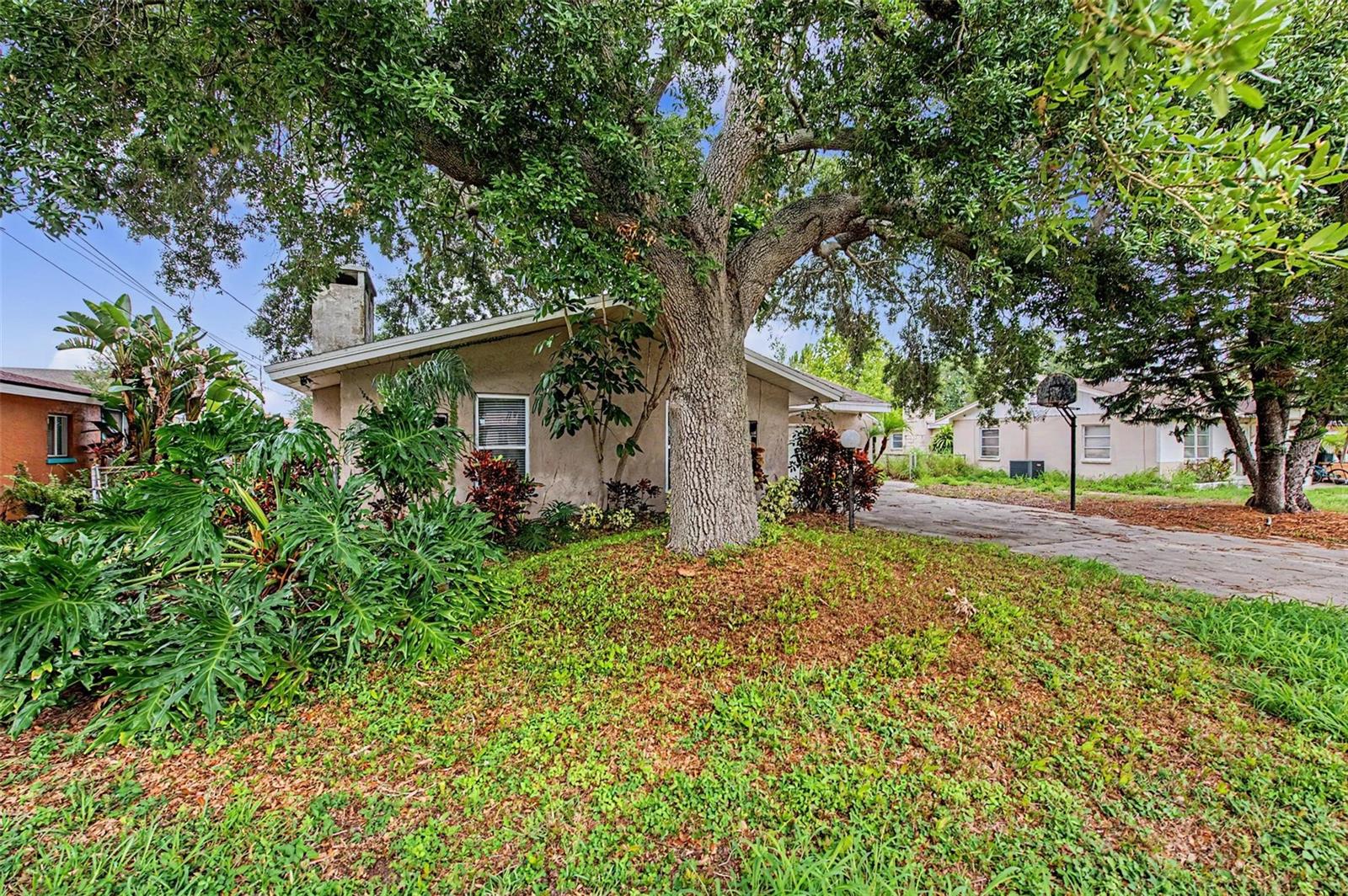 1647 SUMMERDALE DR S, CLEARWATER, FL — photo 54