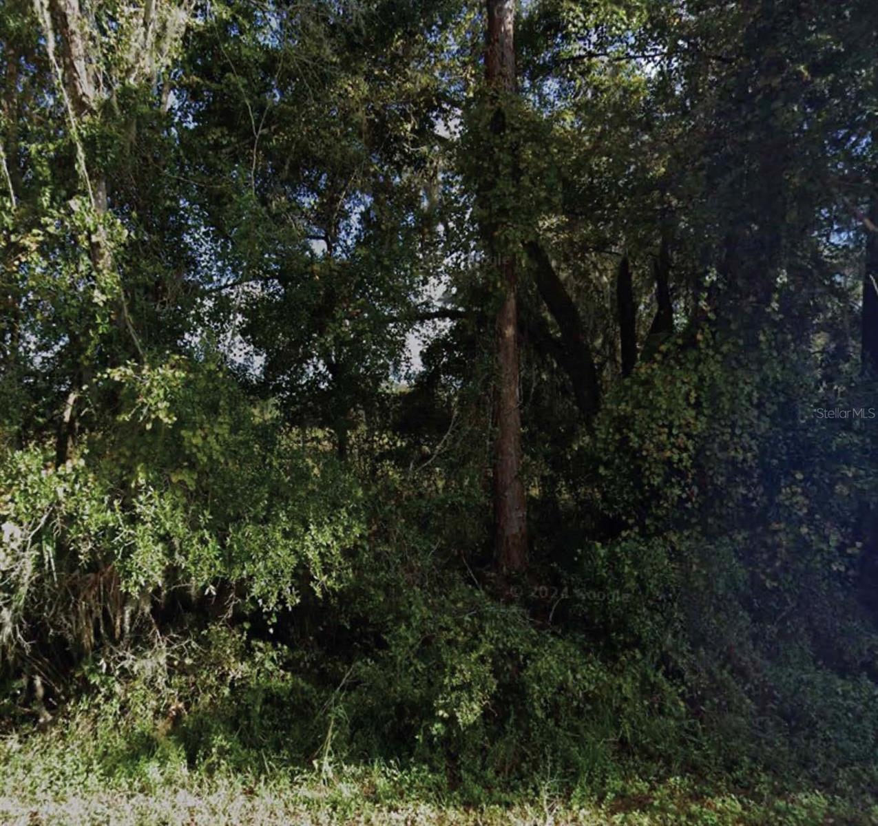 NE 234TH PLACE RD, FORT MC COY, FL