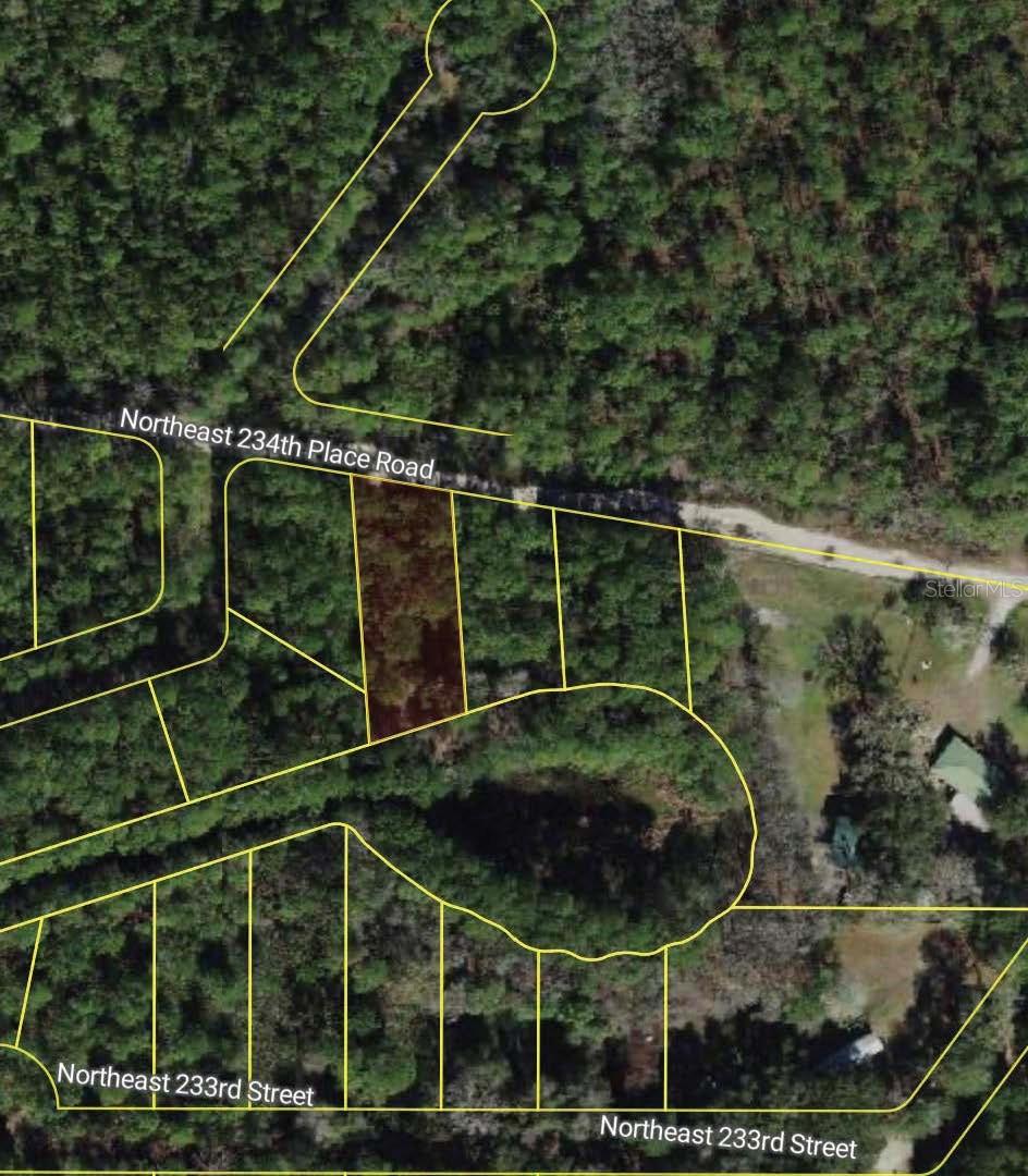 NE 234TH PLACE RD, FORT MC COY, FL — photo 2