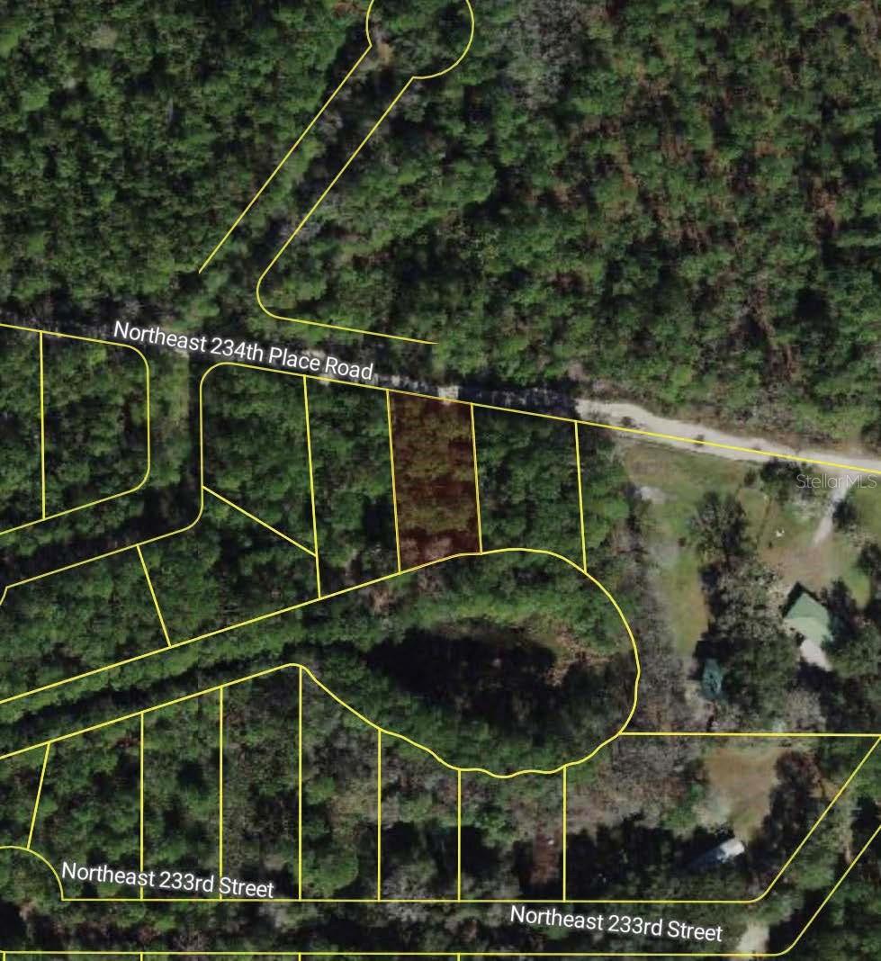 NE 234TH PLACE RD, FORT MC COY, FL — photo 3