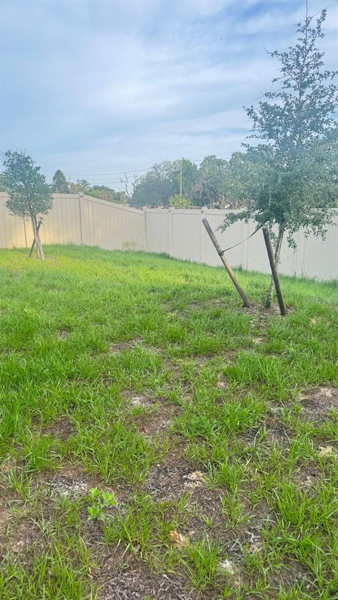 2175 DOE RUN DR, DAVENPORT, FL — photo 17