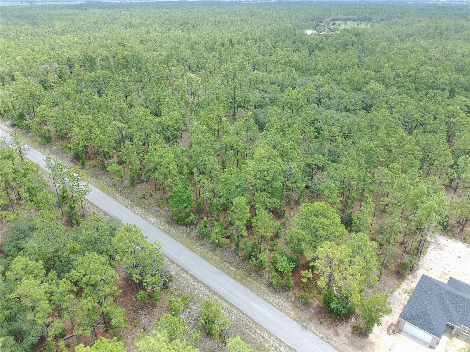 SW BUENA VISTA RD, DUNNELLON, FL