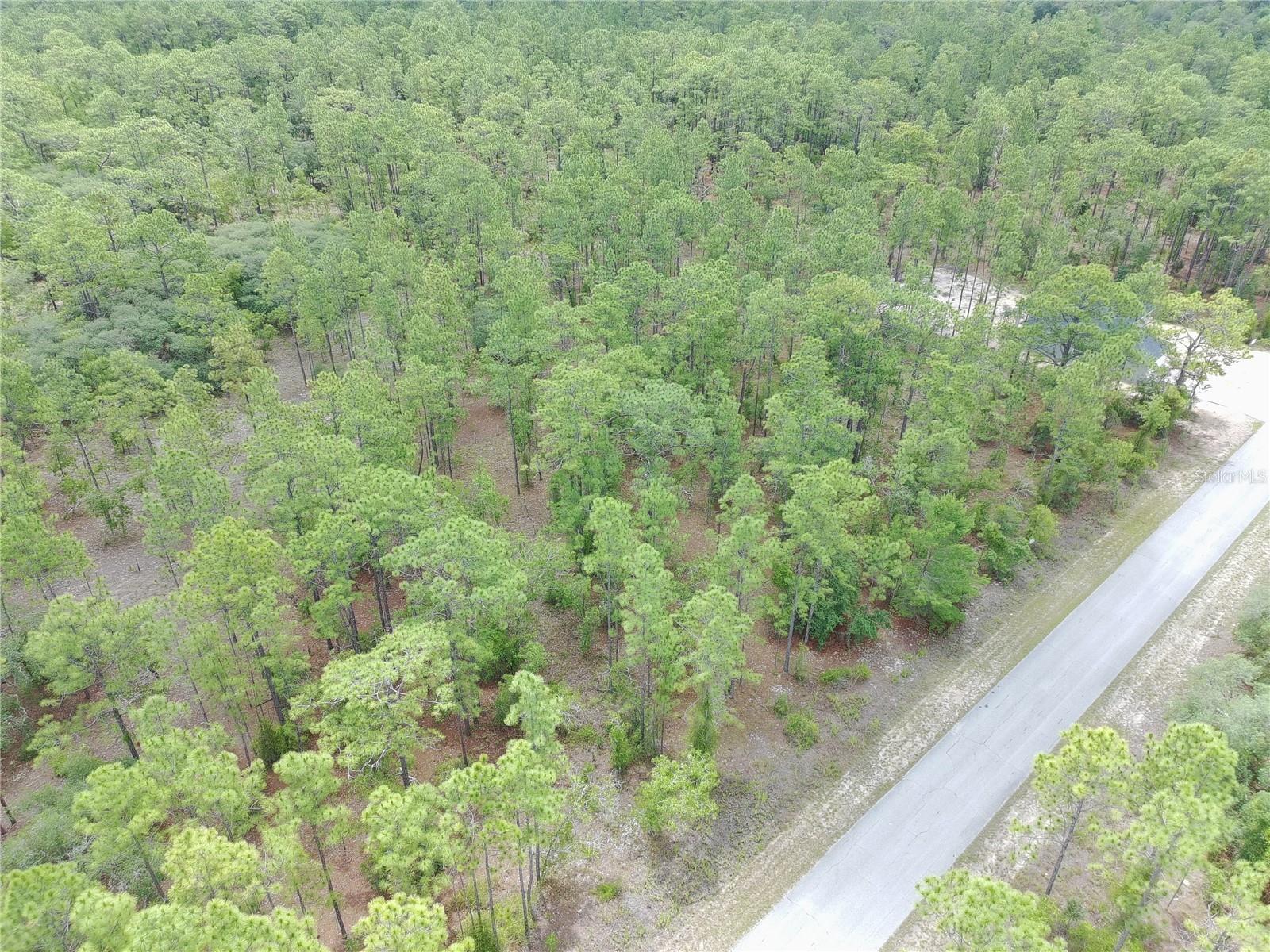 SW BUENA VISTA RD, DUNNELLON, FL — photo 2