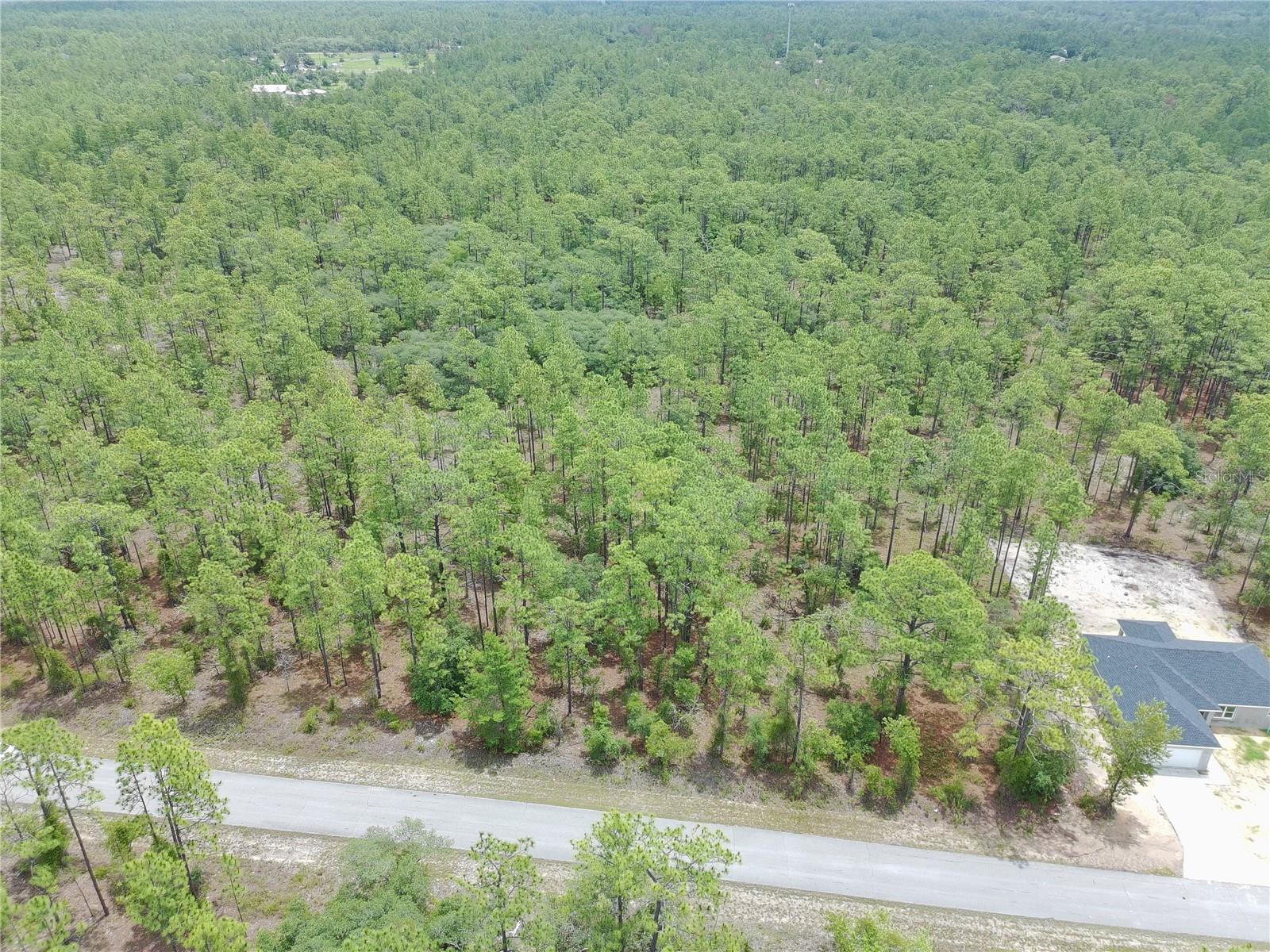 SW BUENA VISTA RD, DUNNELLON, FL — photo 3