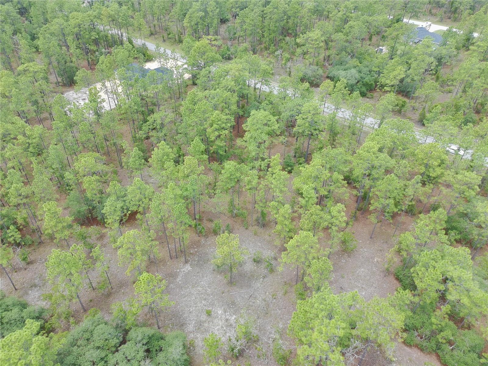 SW BUENA VISTA RD, DUNNELLON, FL — photo 4