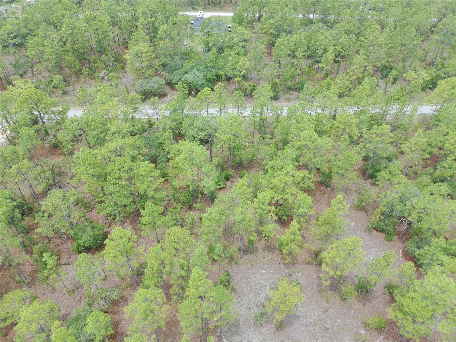 SW BUENA VISTA RD, DUNNELLON, FL — photo 7