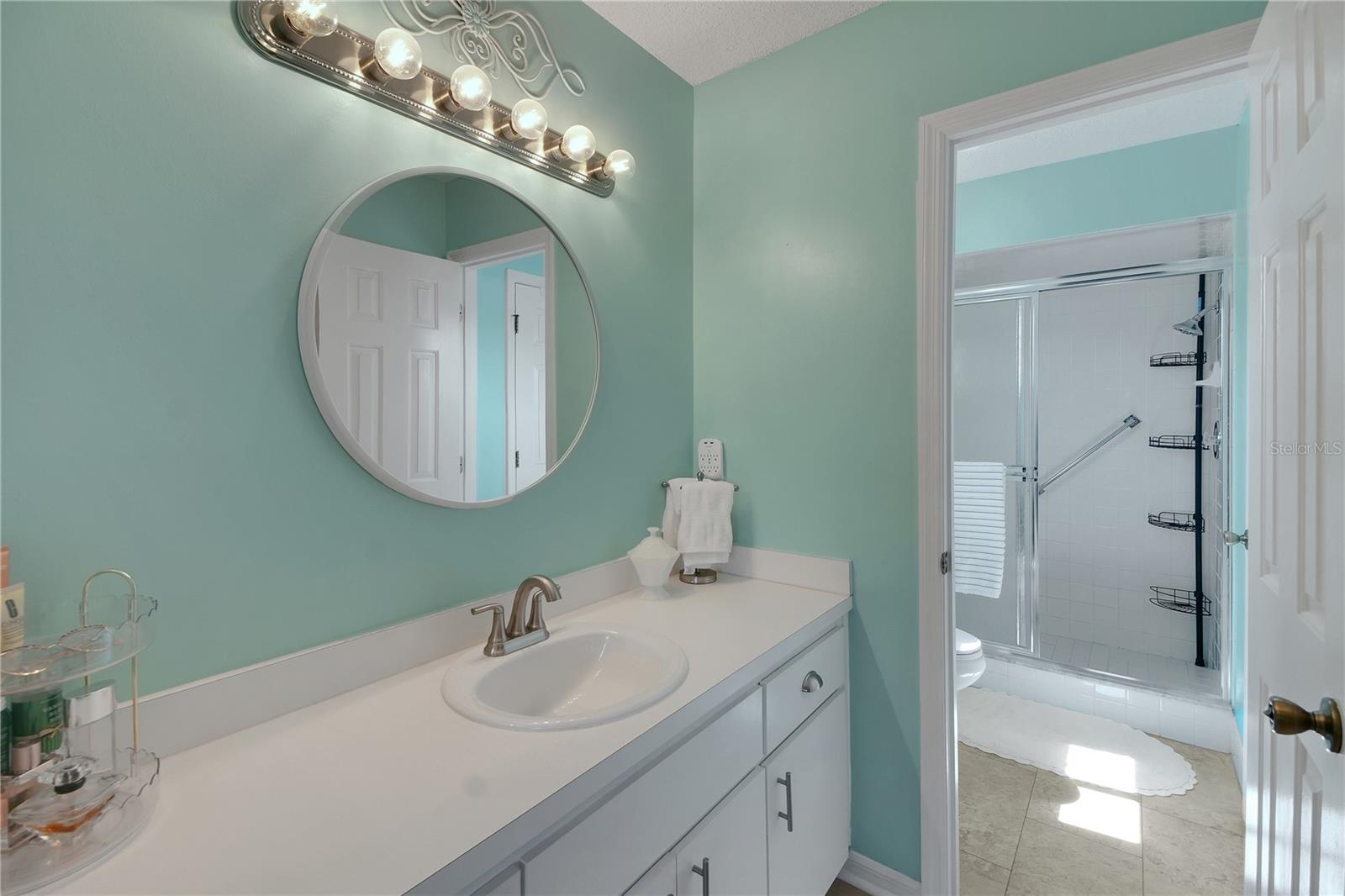 10608 SE 174TH LOOP, SUMMERFIELD, FL — photo 17