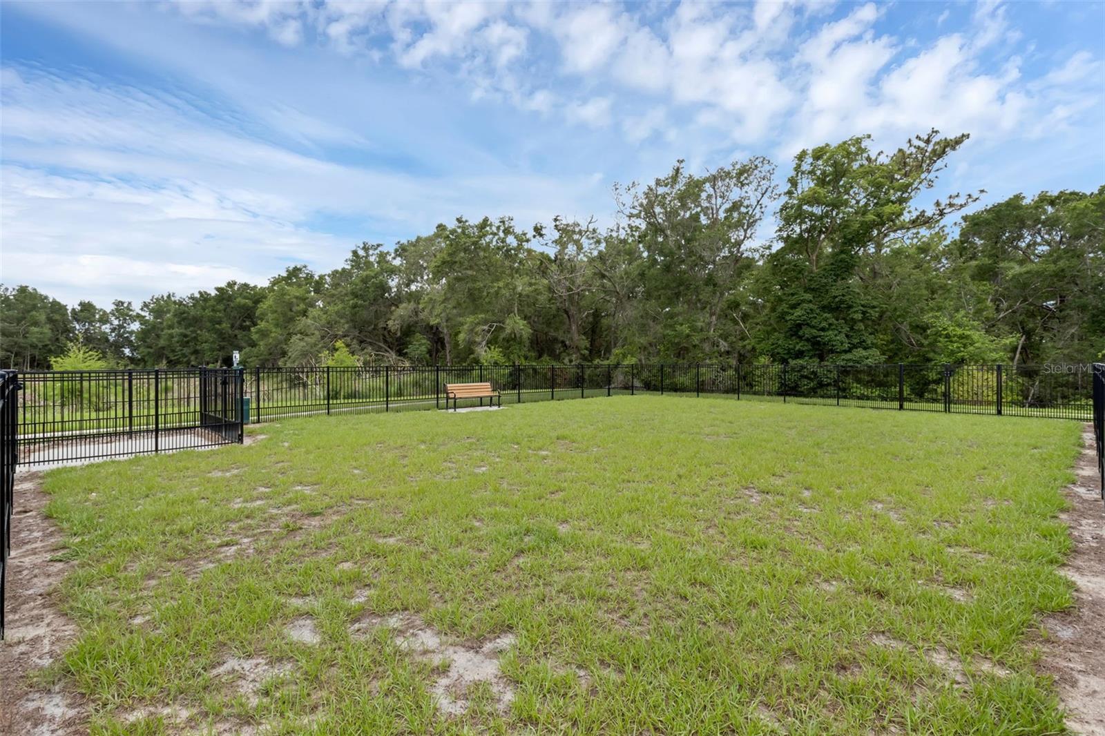 3239 GARDENIA RESERVE ST, APOPKA, FL — photo 31