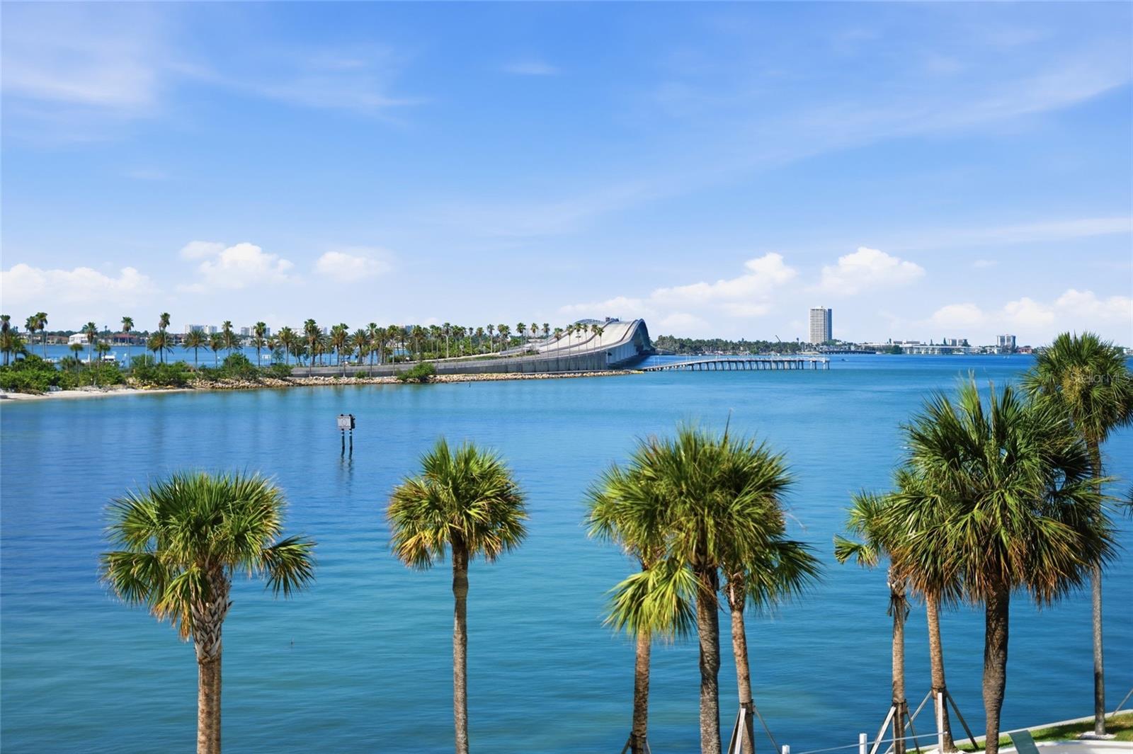 888 BLVD OF THE ARTS #303, SARASOTA, FL — photo 59
