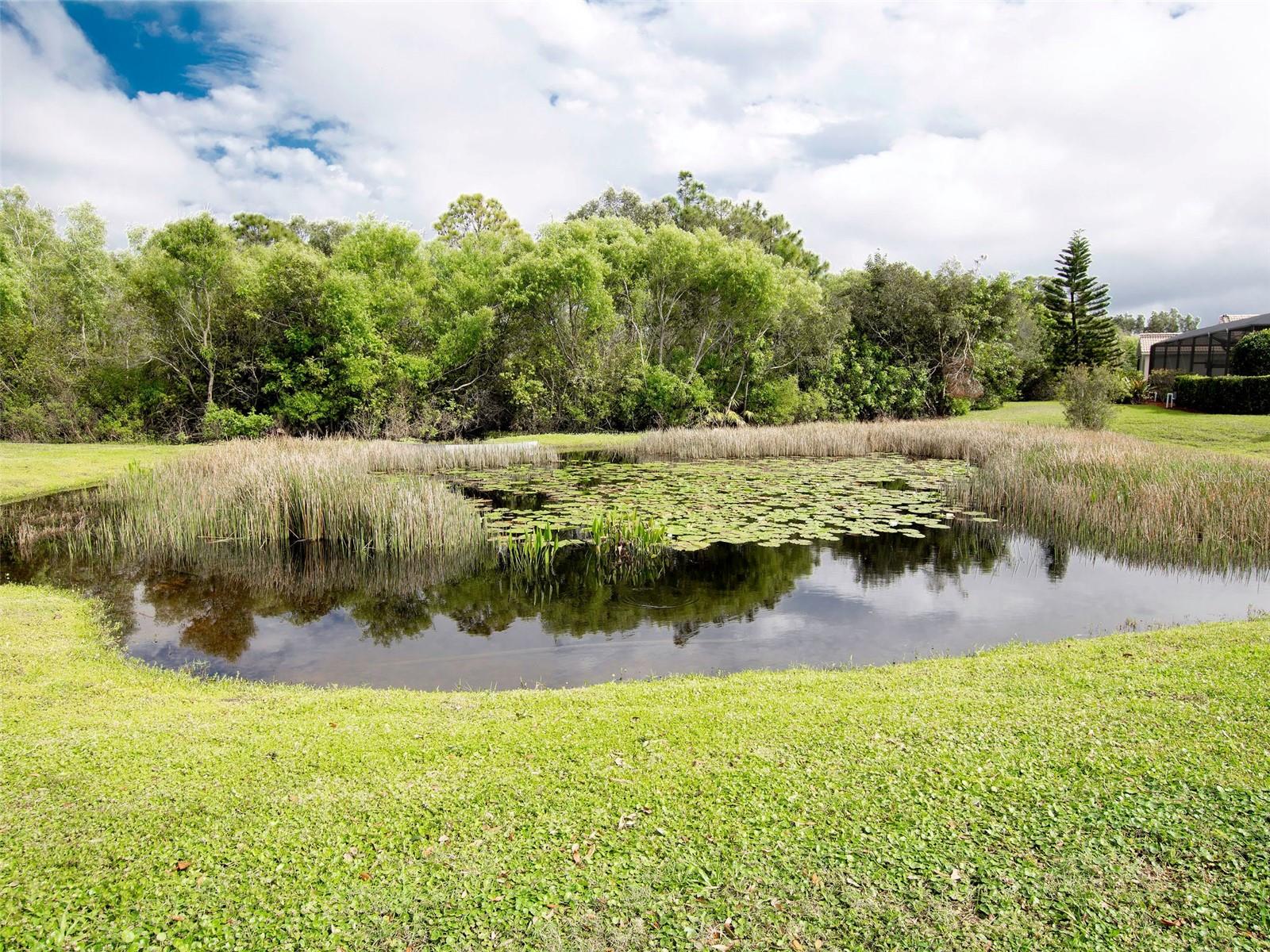 5017 BELLA TERRA DR, VENICE, FL — photo 61