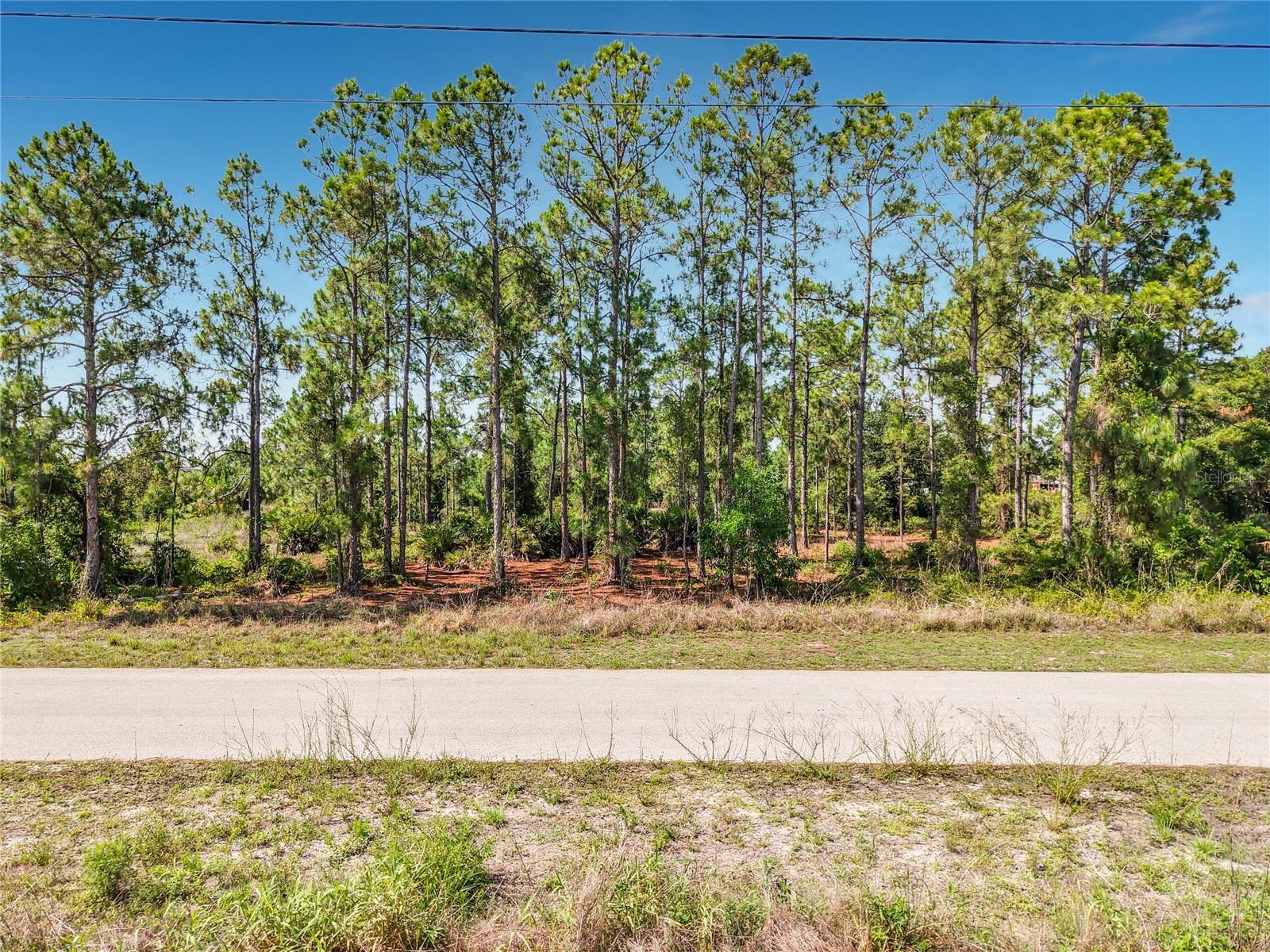 722 MANUEL ST E, LEHIGH ACRES, FL — photo 17