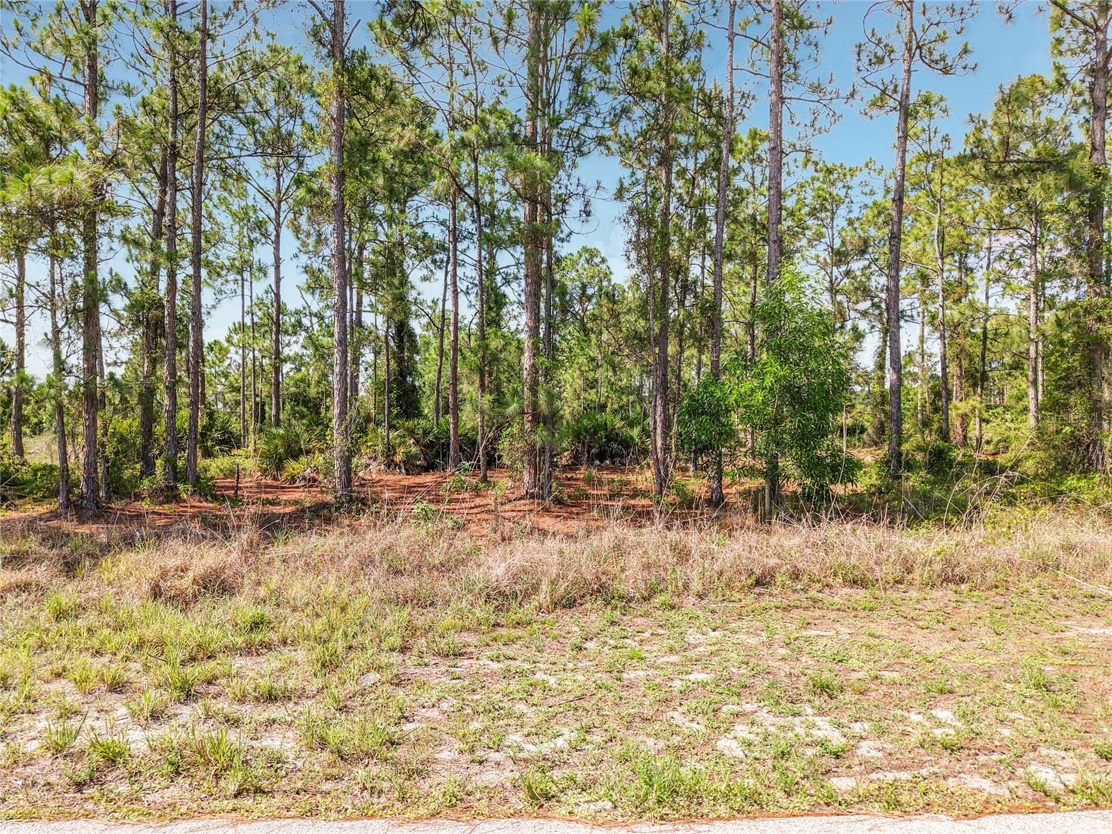 722 MANUEL ST E, LEHIGH ACRES, FL — photo 19