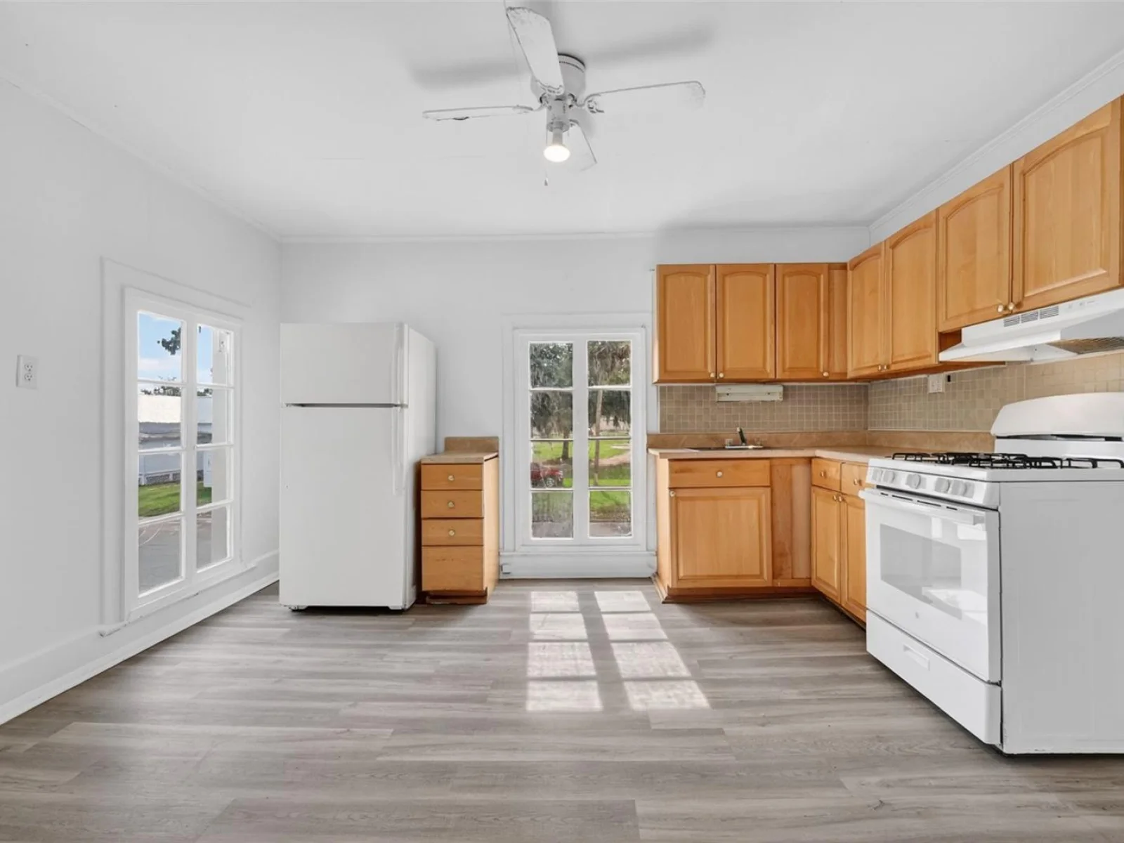 527 E LEMON AVE, EUSTIS, FL — photo 37