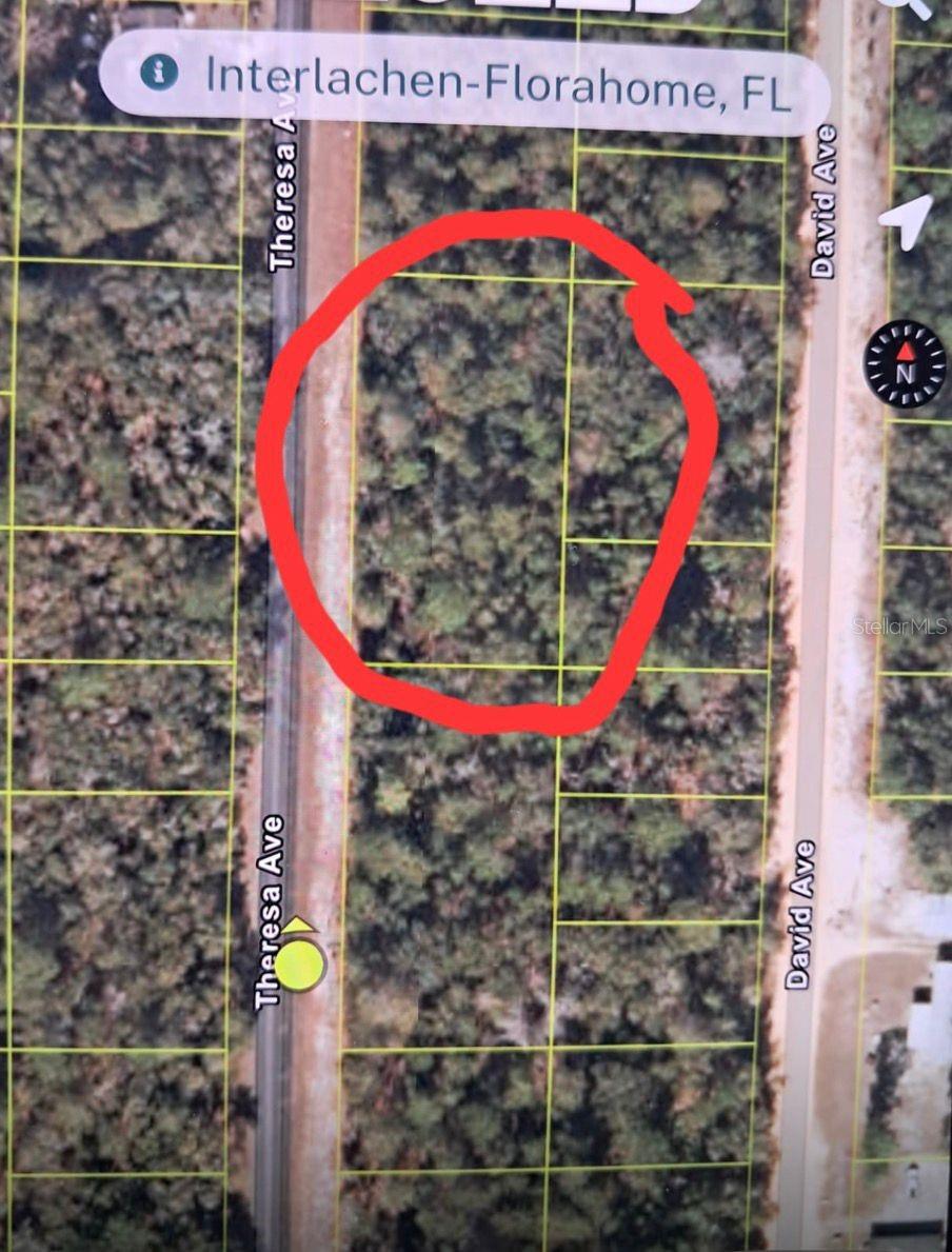 TBD TBD, INTERLACHEN, FL — photo 2