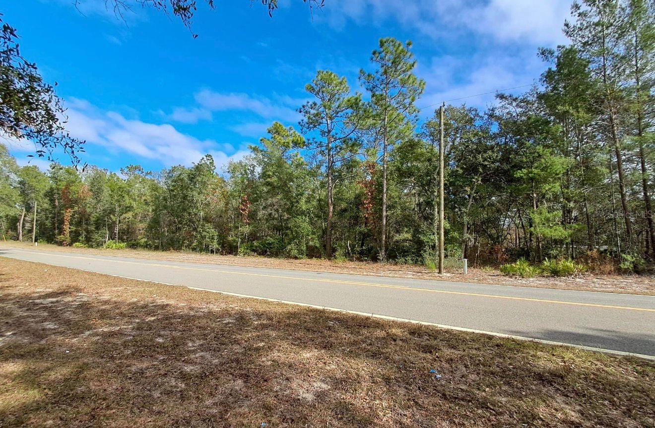 TBD TBD, INTERLACHEN, FL — photo 3