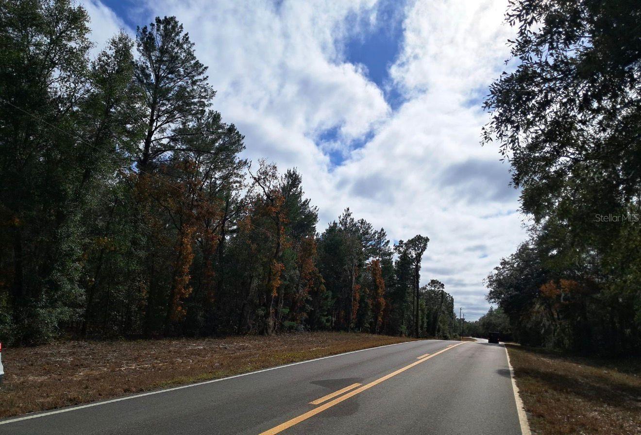 TBD TBD, INTERLACHEN, FL — photo 4