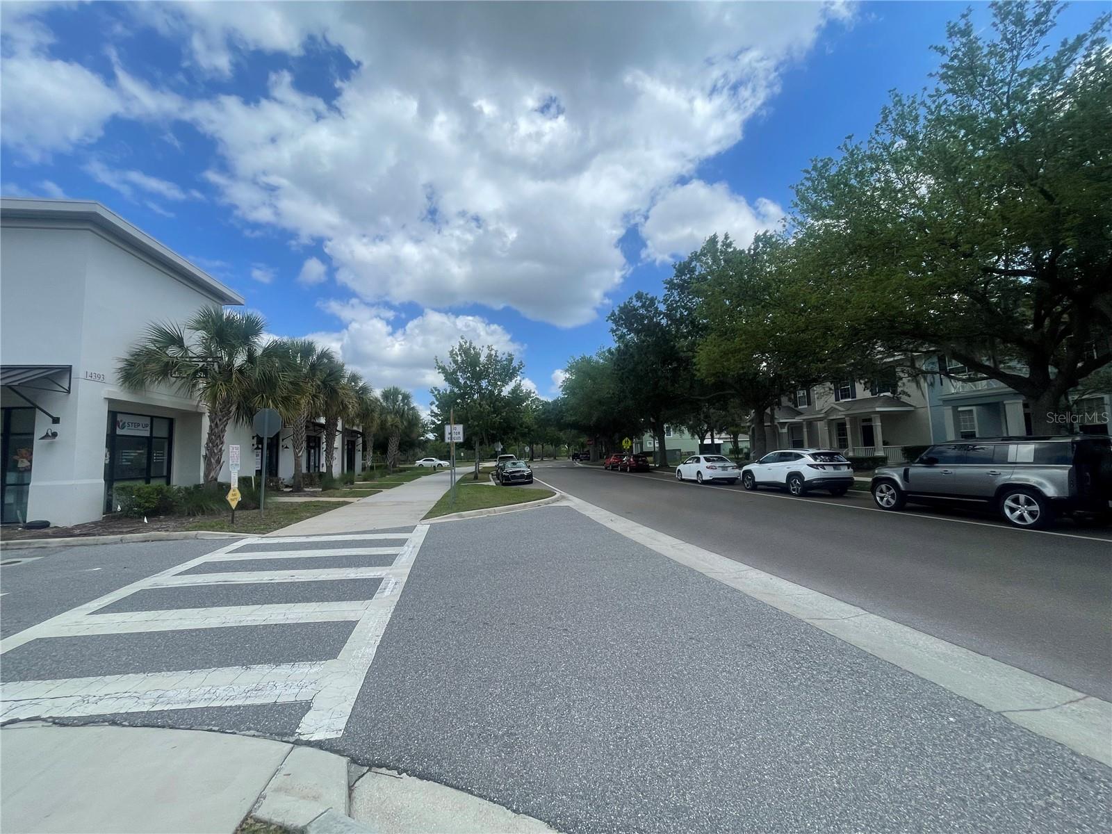14392 BRIDGEWATER CROSSINGS BLVD, WINDERMERE, FL — photo 36