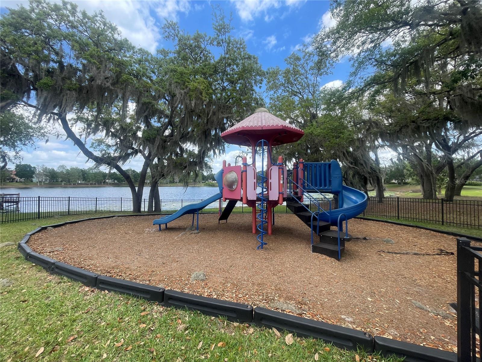 14392 BRIDGEWATER CROSSINGS BLVD, WINDERMERE, FL — photo 45