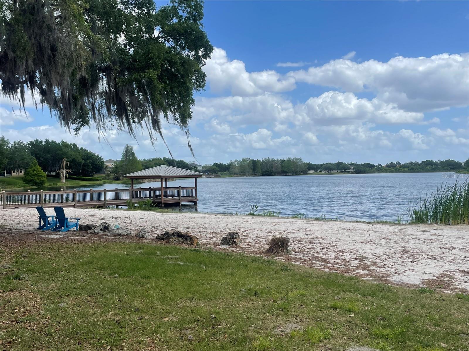 14392 BRIDGEWATER CROSSINGS BLVD, WINDERMERE, FL — photo 47