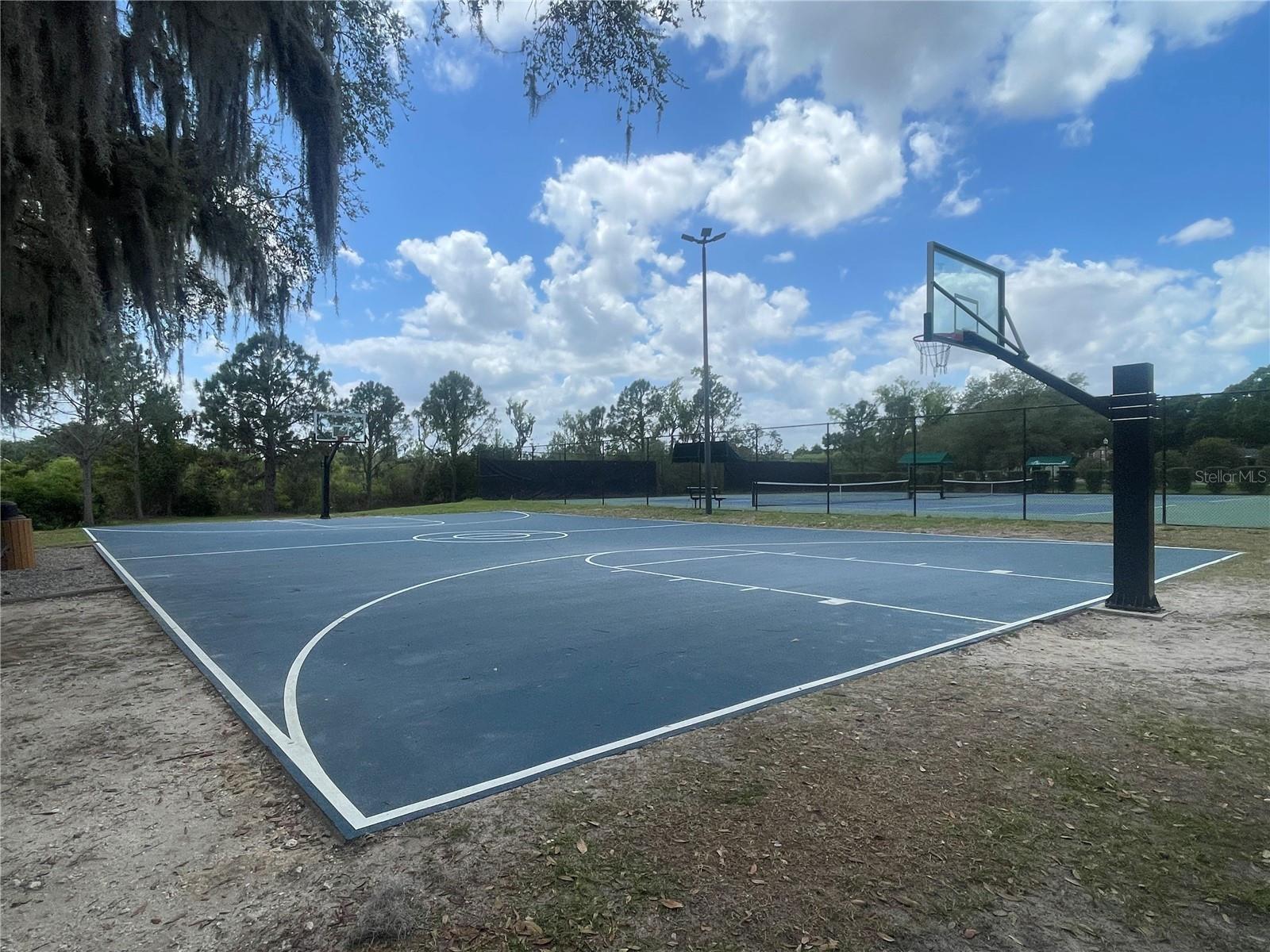 14392 BRIDGEWATER CROSSINGS BLVD, WINDERMERE, FL — photo 48