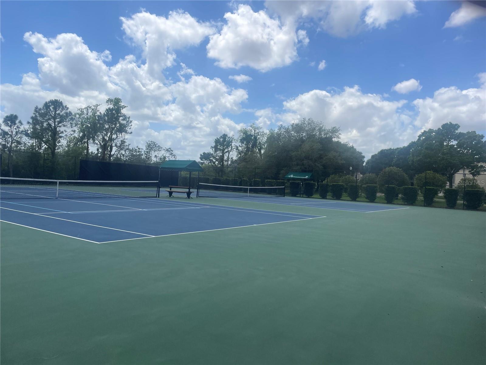 14392 BRIDGEWATER CROSSINGS BLVD, WINDERMERE, FL — photo 49
