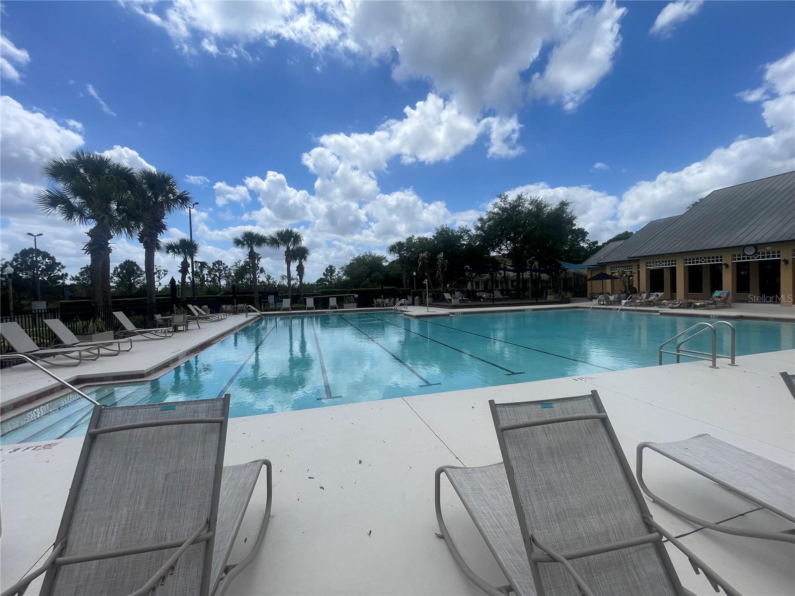14392 BRIDGEWATER CROSSINGS BLVD, WINDERMERE, FL — photo 50