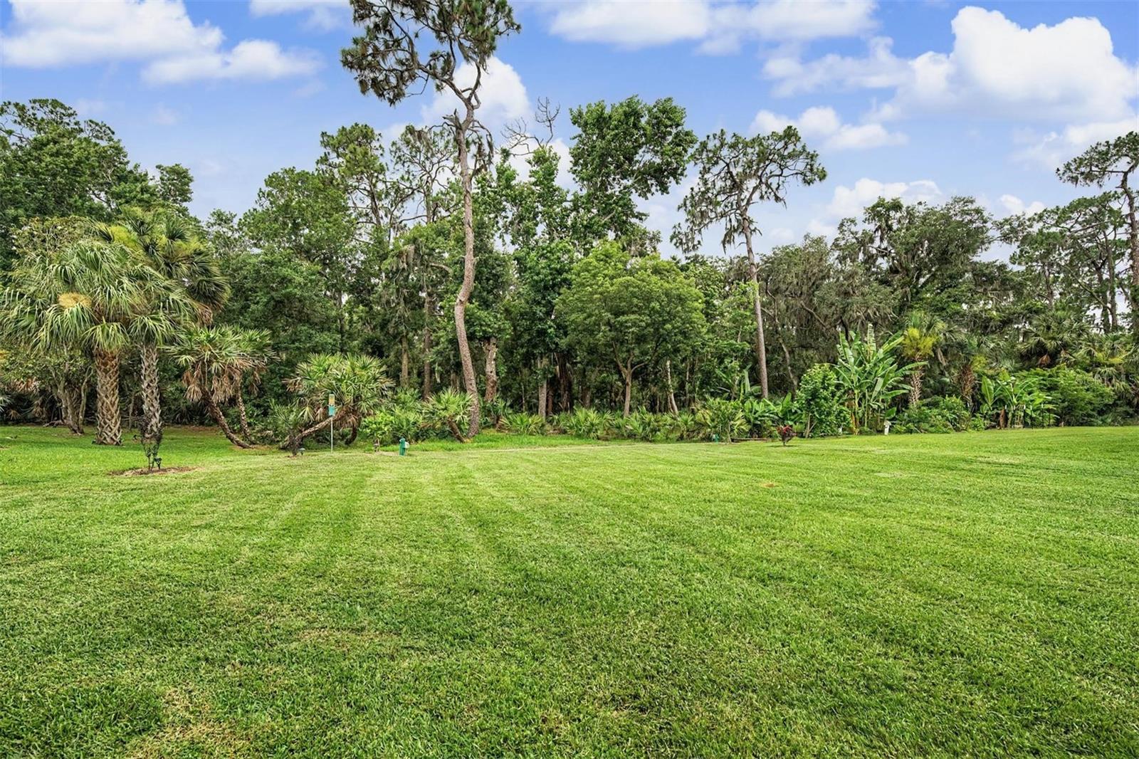 5116 ABISHER WOOD LN, BRANDON, FL — photo 58
