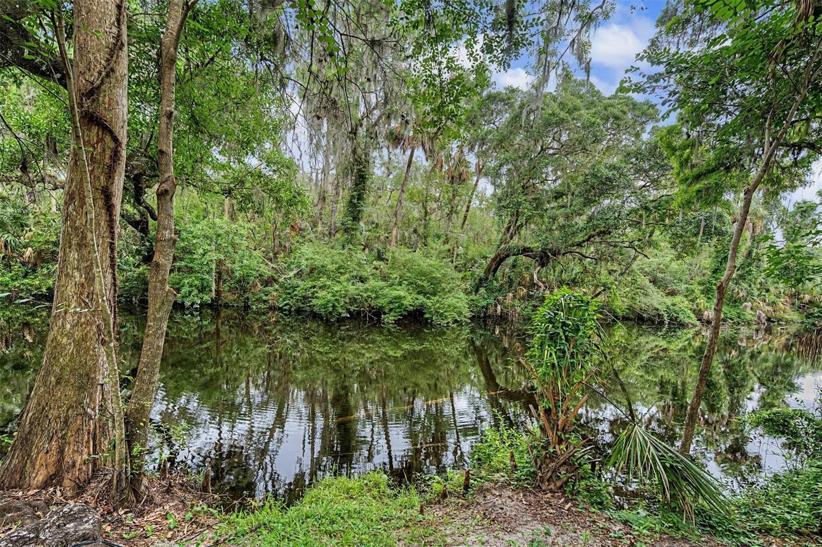 5116 ABISHER WOOD LN, BRANDON, FL — photo 59