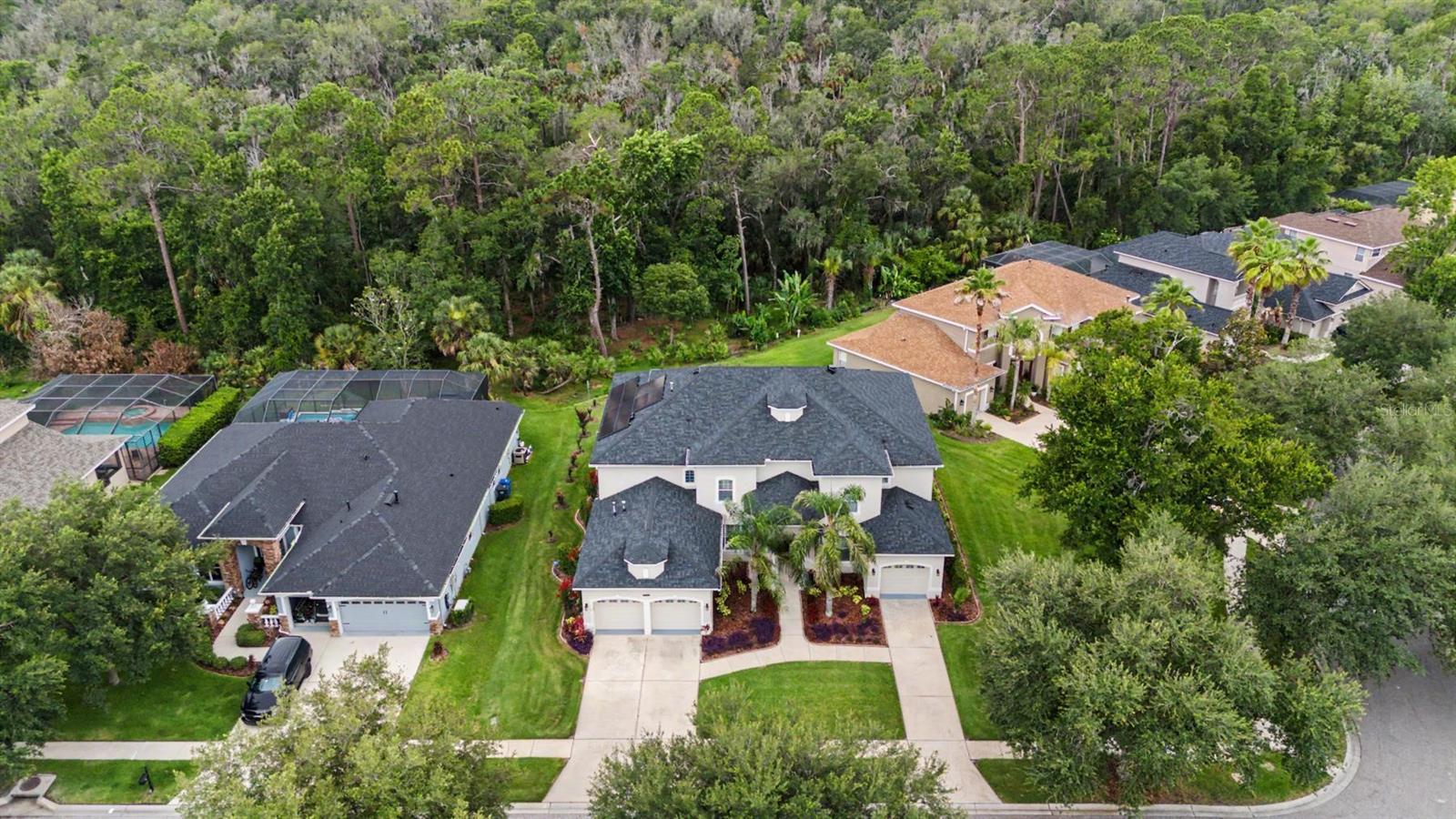 5116 ABISHER WOOD LN, BRANDON, FL — photo 66