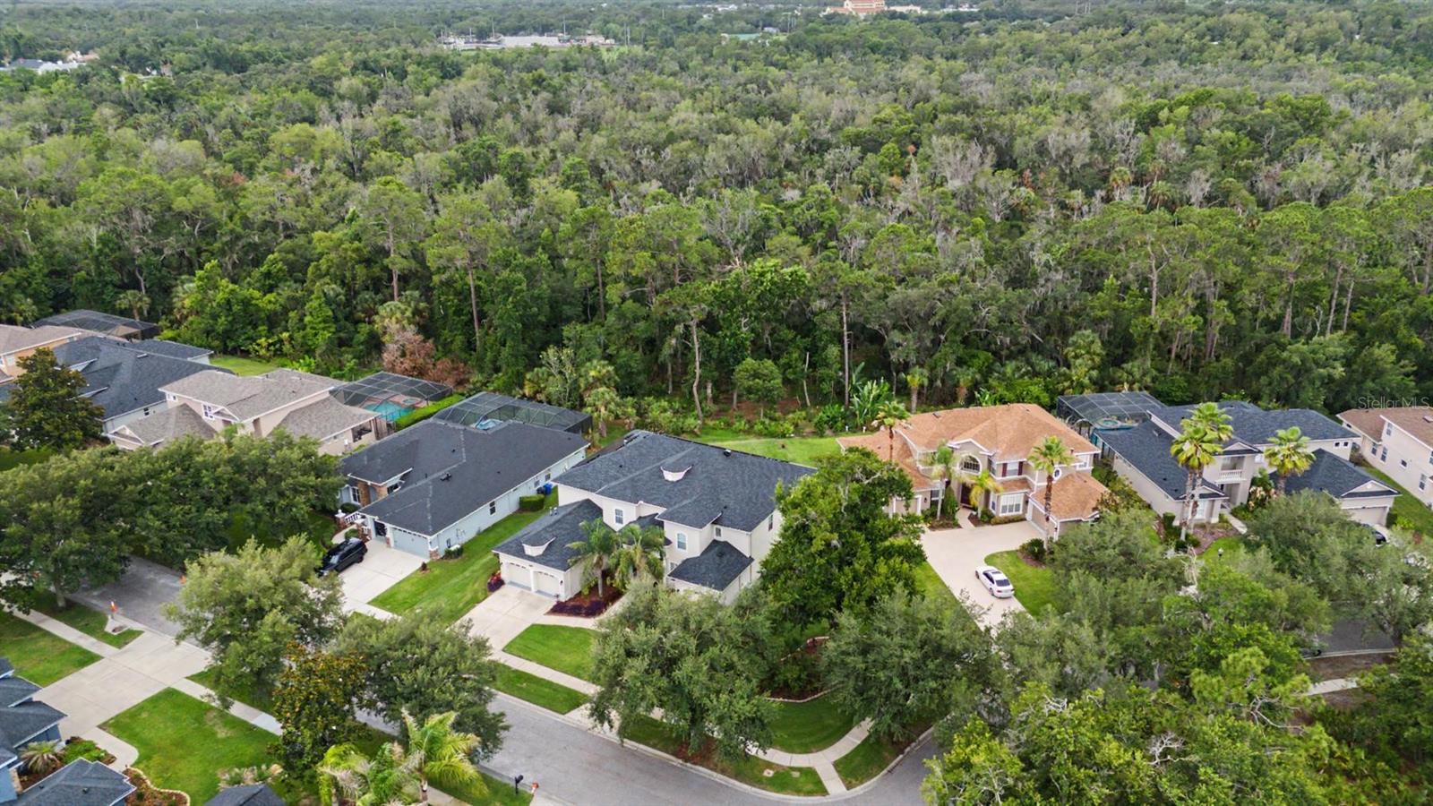 5116 ABISHER WOOD LN, BRANDON, FL — photo 67