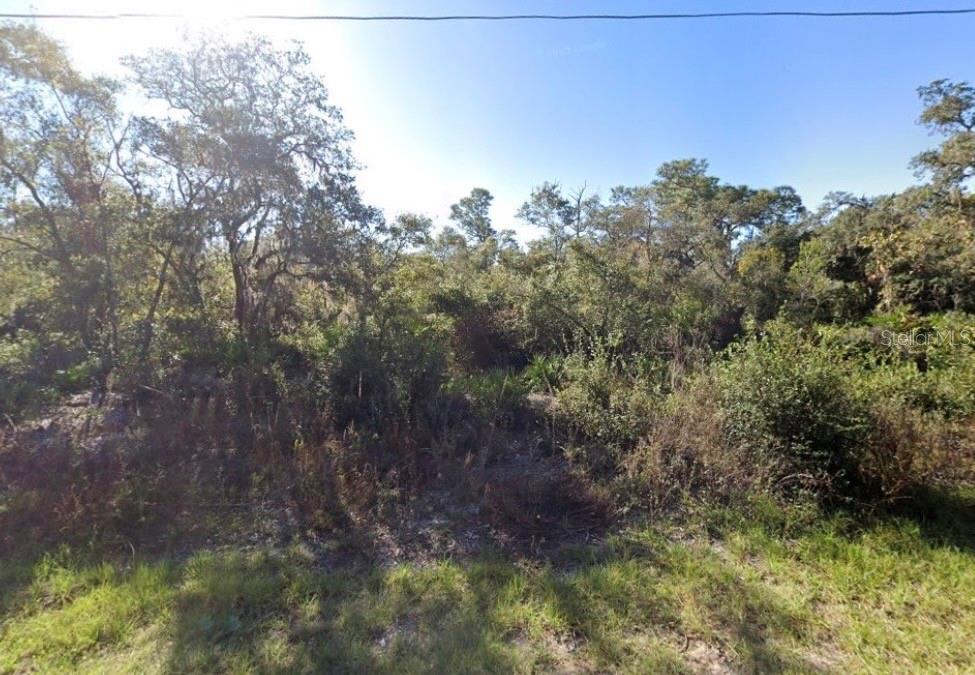 441 VERNON CT, KISSIMMEE, FL