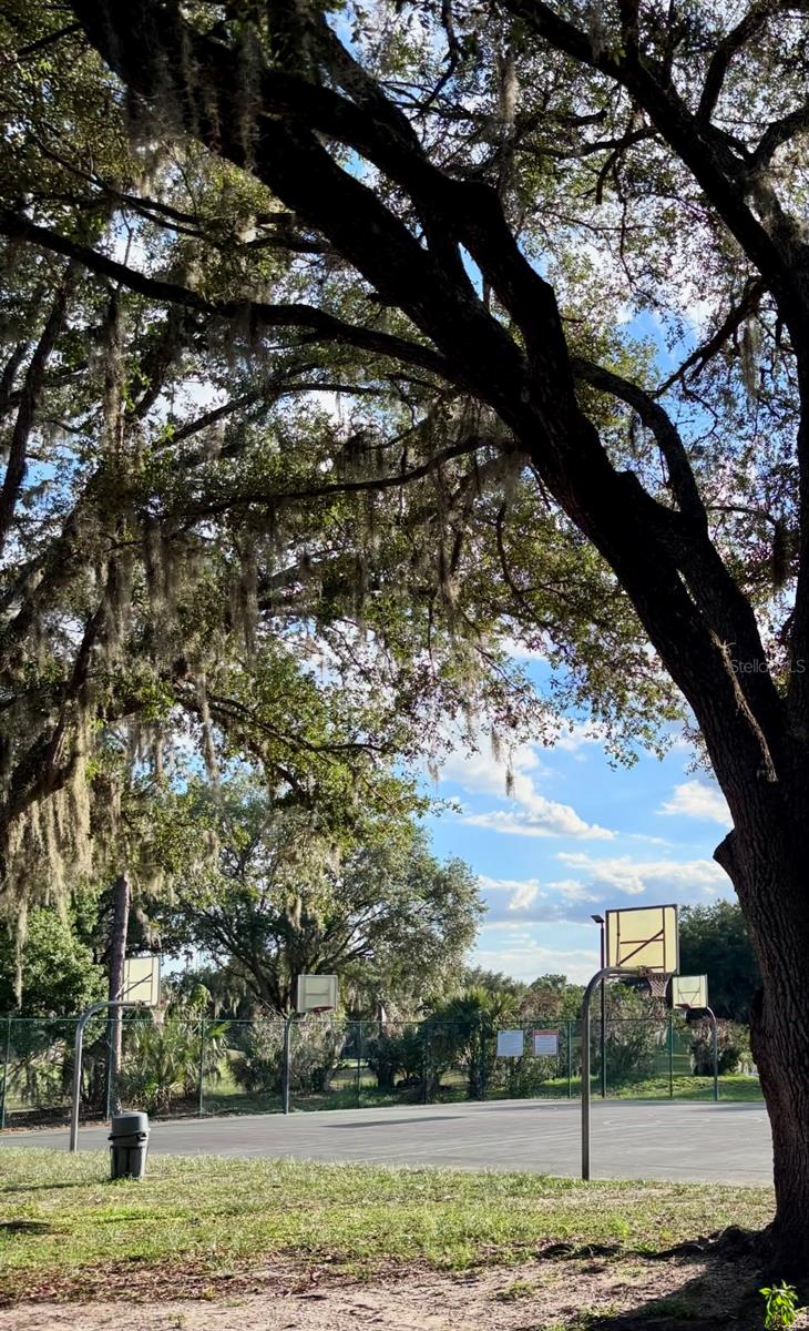 5121 FAIRWAY ONE DR, VALRICO, FL — photo 47