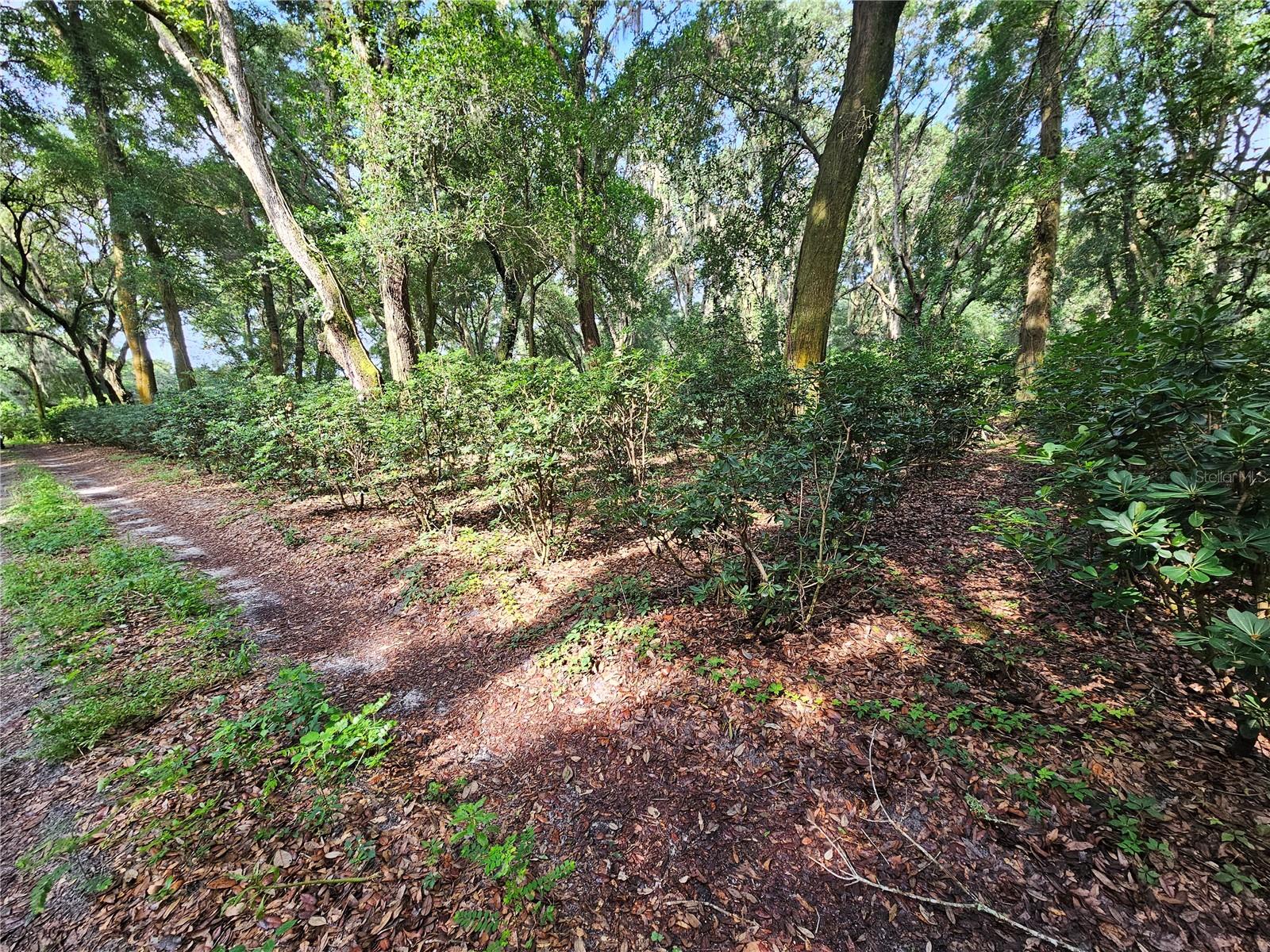 610 BURNSED RD, PIERSON, FL — photo 11