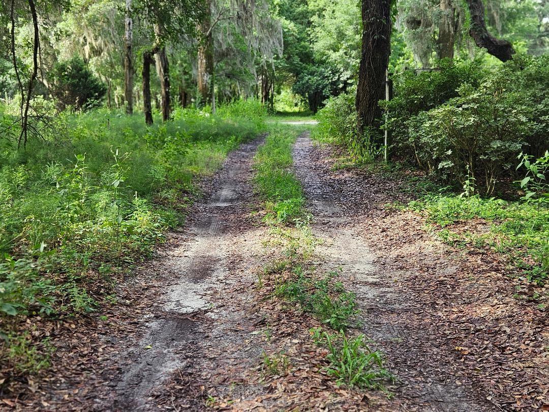 610 BURNSED RD, PIERSON, FL — photo 12