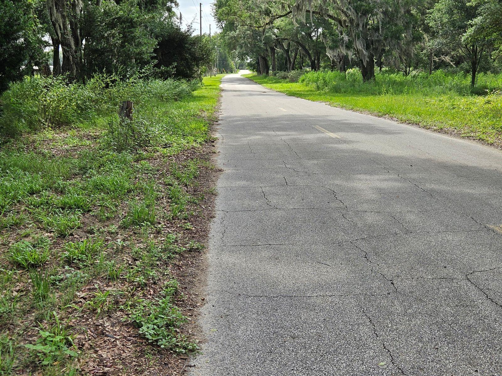 610 BURNSED RD, PIERSON, FL — photo 14