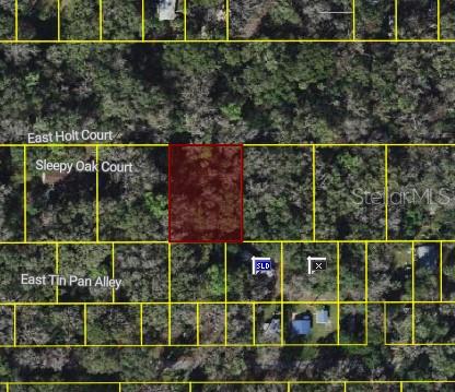 9346 E SLEEPY OAK CT, INVERNESS, FL