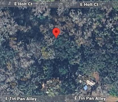 9346 E SLEEPY OAK CT, INVERNESS, FL — photo 2
