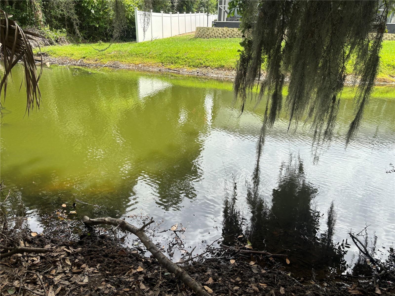 0 LAKE PIERCE DR, LAKE WALES, FL — photo 8