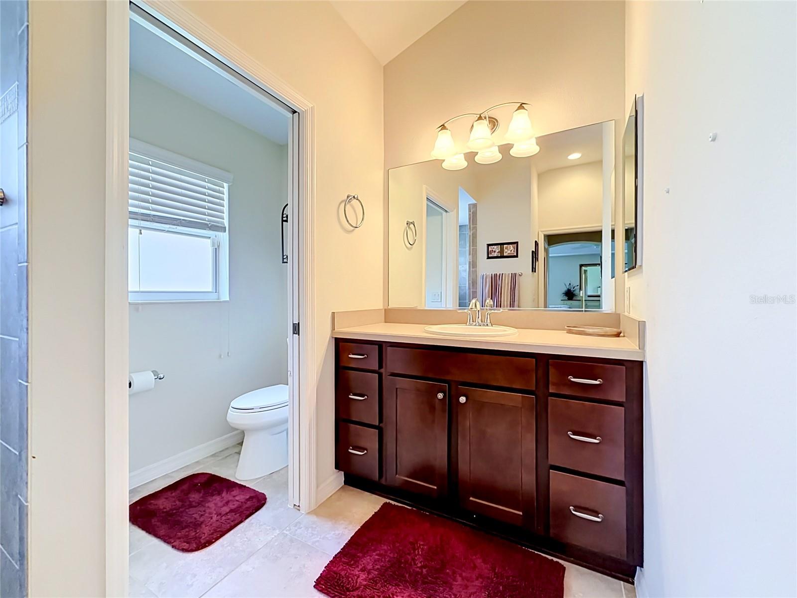 2529 EDENVILLE PATH, THE VILLAGES, FL — photo 44
