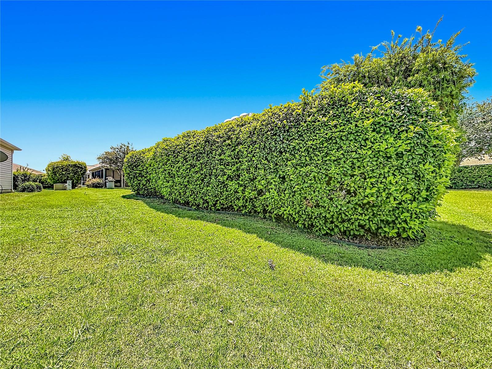 2529 EDENVILLE PATH, THE VILLAGES, FL — photo 60