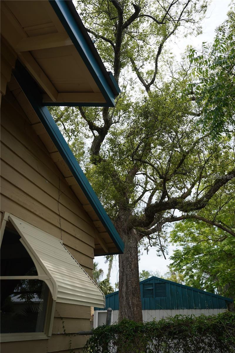 1004 TALTON AVE, DELAND, FL — photo 39